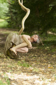 Improvisation dans les arbres