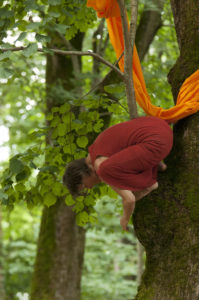 Improvisation dans les arbres