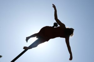 L'oiseau, mât en robe, à contre jour